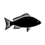 logo of Fish Fixe - Premium Seafood Delivery as Seen on Shark Tank